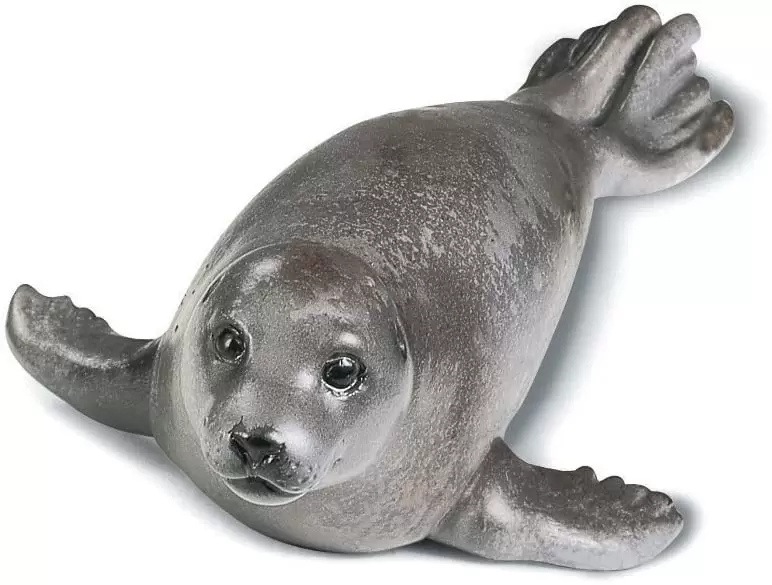 Wild Life - Phoque