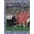 Equipe (puzzle 1) - Lens