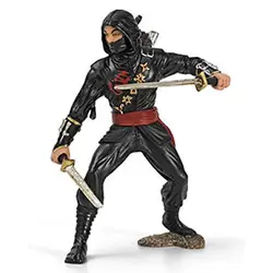 Le mystérieux Ninja