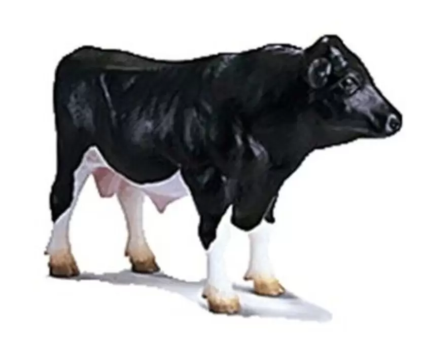 Farm World - Taureau Holstein