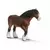 Cheval shire