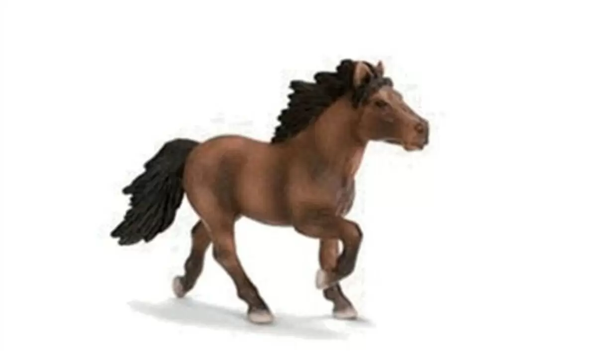 Horse Club - Poney d\'Islande brun