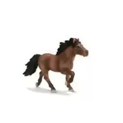 Poney d'Islande brun