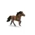 Horse Club - Poney d\'Islande brun