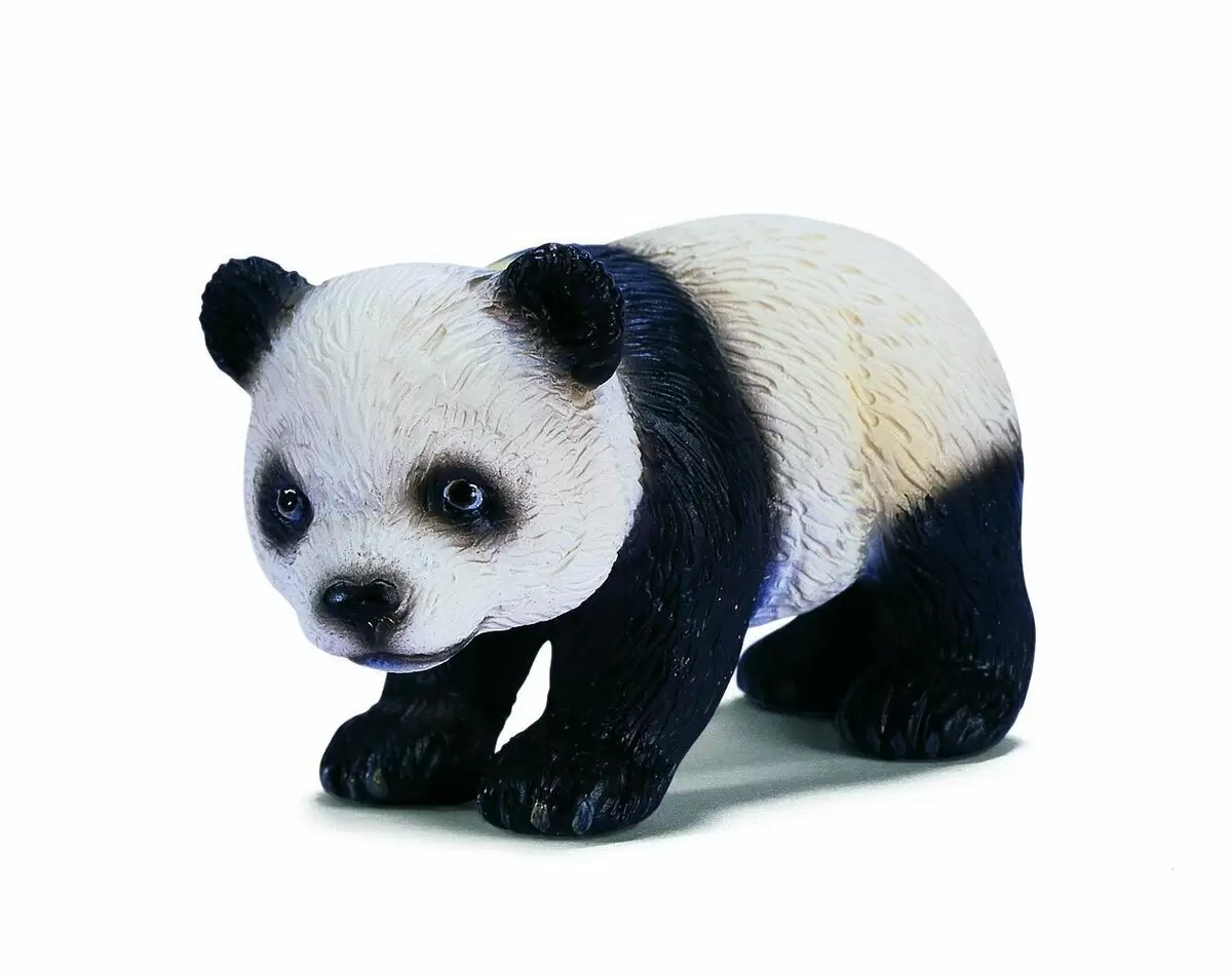 Wild Life - Bébé Panda