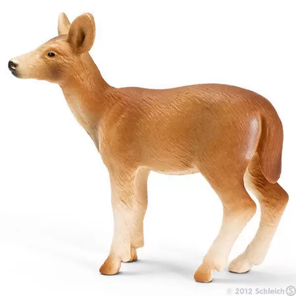 Wild Life - Biche de Virginie
