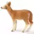 Biche de Virginie