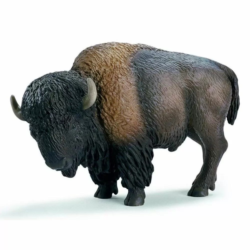 Wild Life - Bison
