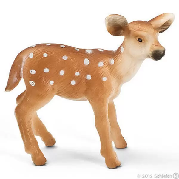 Wild Life - Faon de Virginie