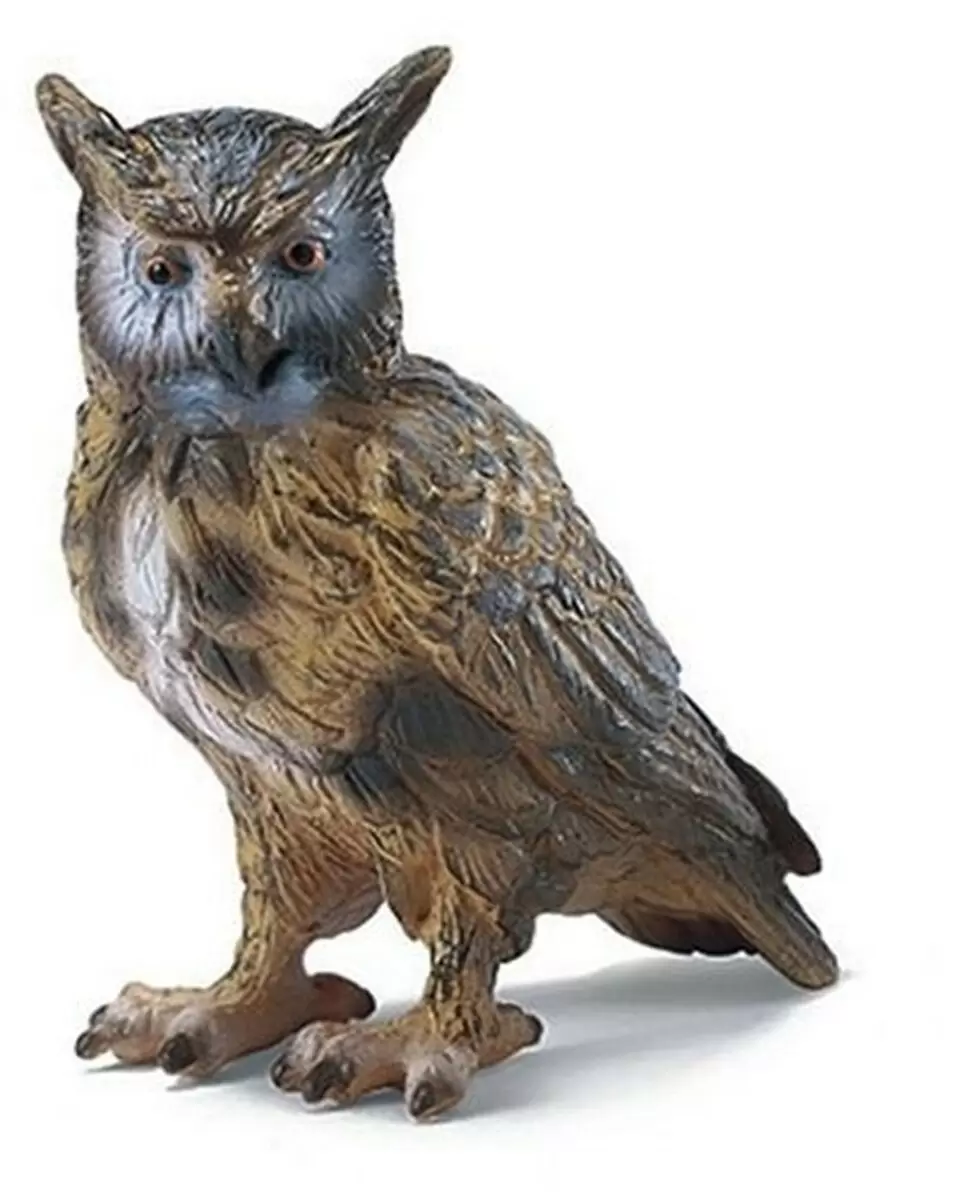 Wild Life - Grand duc
