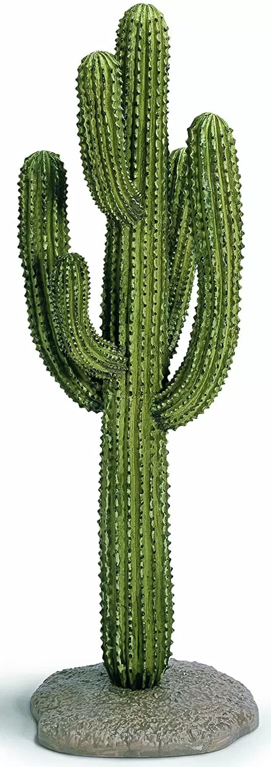 Wild West - Cactus