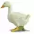 Farm World - Canard