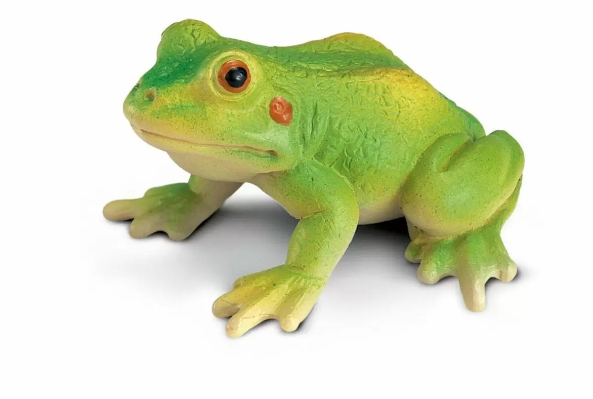 Wild Life - Grenouille