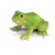 Wild Life - Grenouille