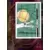 FIFA World Cup Korea/Japan 2002 - Panini Trading Cards - 1954 - Helvetia