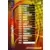 FIFA World Cup Korea/Japan 2002 - Panini Trading Cards - FIFA World Cup Trophy