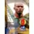 FIFA World Cup Korea/Japan 2002 - Panini Trading Cards - Pierre Wome - Cameroun