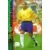 FIFA World Cup Korea/Japan 2002 - Panini Trading Cards - Roberto Carlos - Brasil