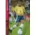 FIFA World Cup Korea/Japan 2002 - Panini Trading Cards - Ronaldo - Brasil
