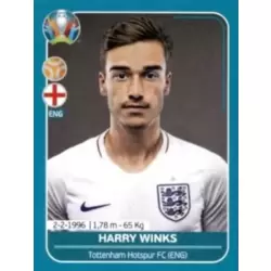Harry Winks - England