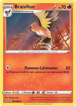 Ténèbres Embrasées - Braisillon