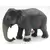 Wild Life - Eléphant de l\'inde femelle