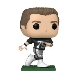 NFL - Howie with Raiders