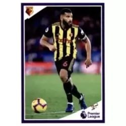 Adrian Mariappa - Watford