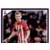 James Ward-Prowse (puzzle 1) - Southampton