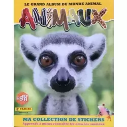 Album  français