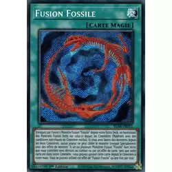 Fusion Fossile