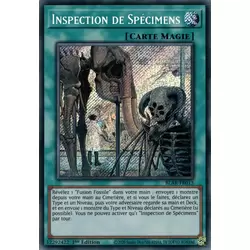 Inspection de Spécimens