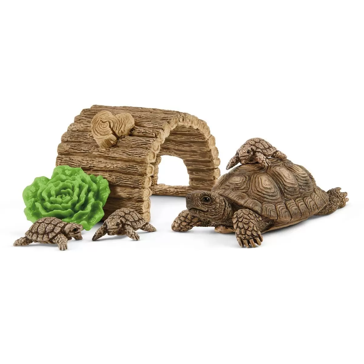 Wild Life - Maison pour tortues