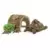 Maison pour tortues