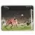 Champions of Europe 1955-2005 - 1978-79 Sticker