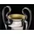 Trophy - UEFA Champions League Road to Munich 2012