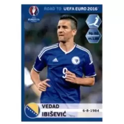 Vedad Ibisevic - Bosna i Hercegovina