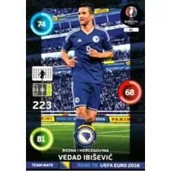 Vedad Ibišević - Bosna I Hercegovina