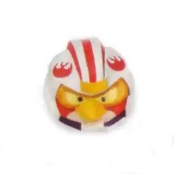 Luke Skywalker Pilot