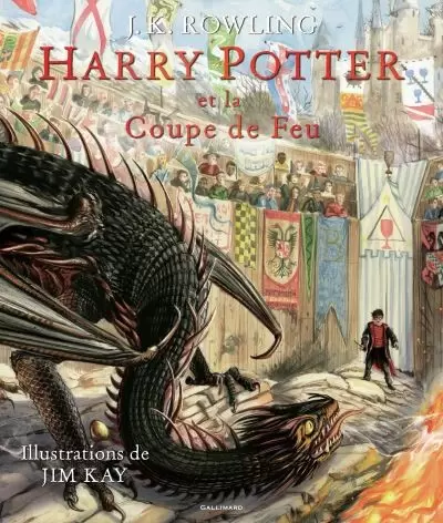 Livres Harry Potter et Animaux Fantastiques - Harry potter et la coupe de feu - Illustré
