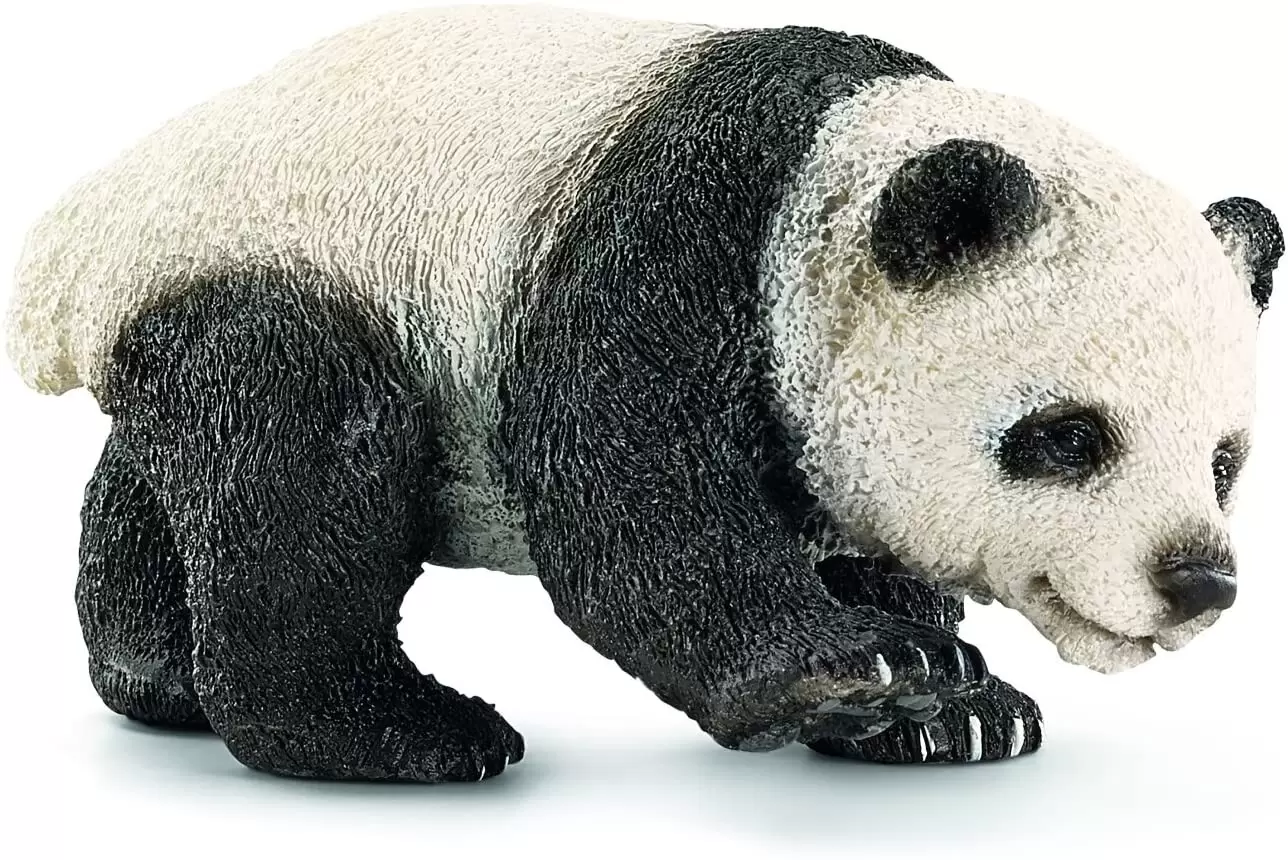 Wild Life - Bébé panda Géant