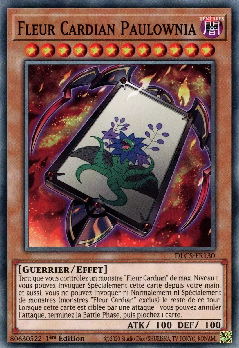 Les Dragons de Légende : La Série Complète DLCS - Fleur Cardian Paulownia