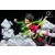 Oniri Creations - Gon VS Hisoka – Battle at the Heavens Arena