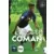 Kingsley Coman