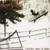 Western Sous La Neige