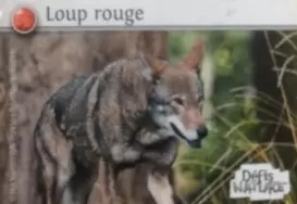 Défis Nature - Auchan - Loup Rouge
