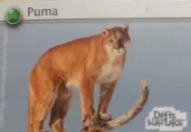 Défis Nature - Auchan - Puma