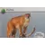 Défis Nature - Auchan - Puma