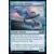 Exocet volant mystique