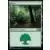 Forêt